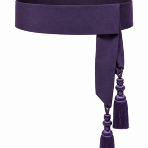 FAJIN CEREMONIAL COFRADIA LEON